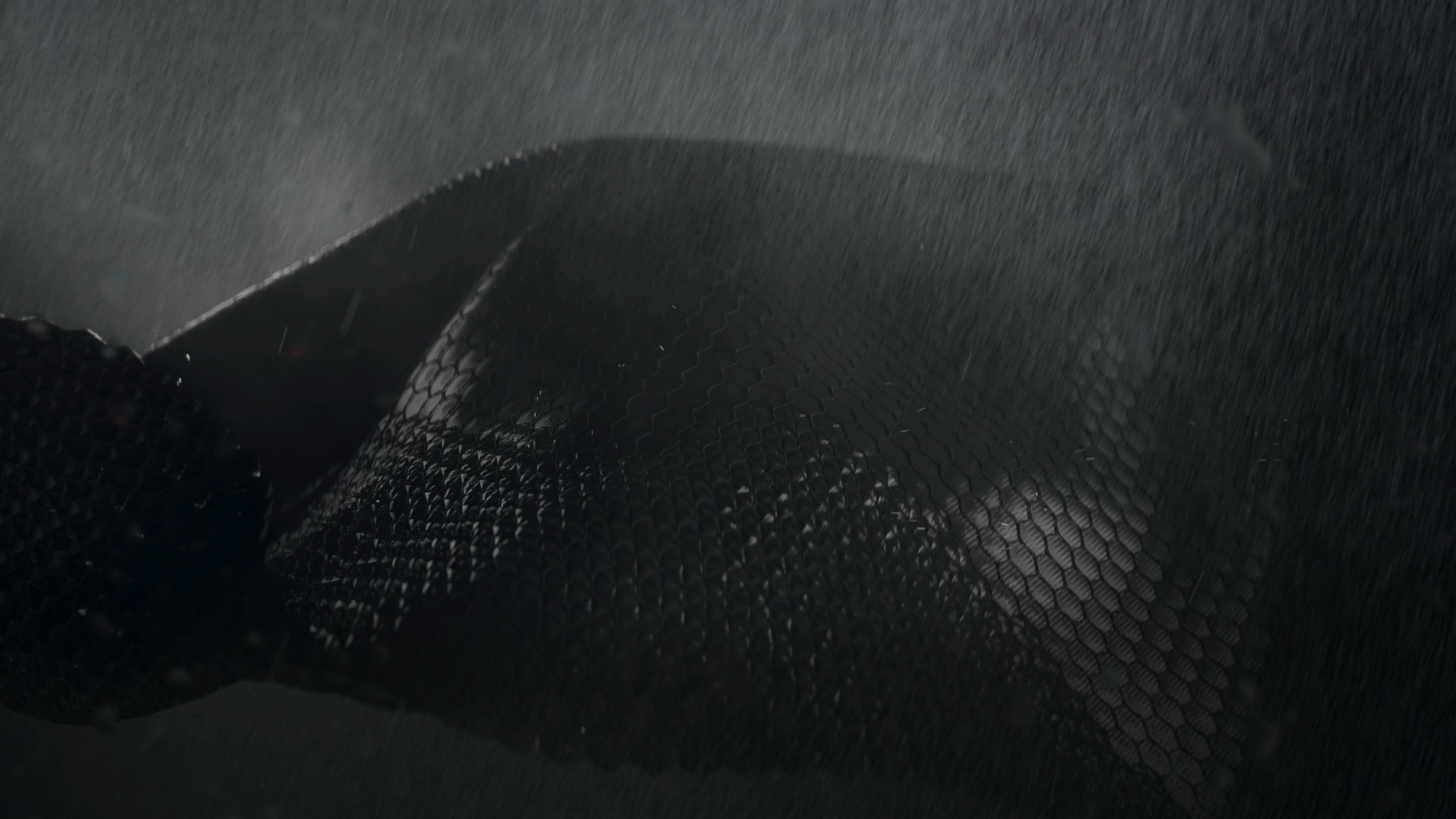 Parasol Island - Integrated Digital Studio