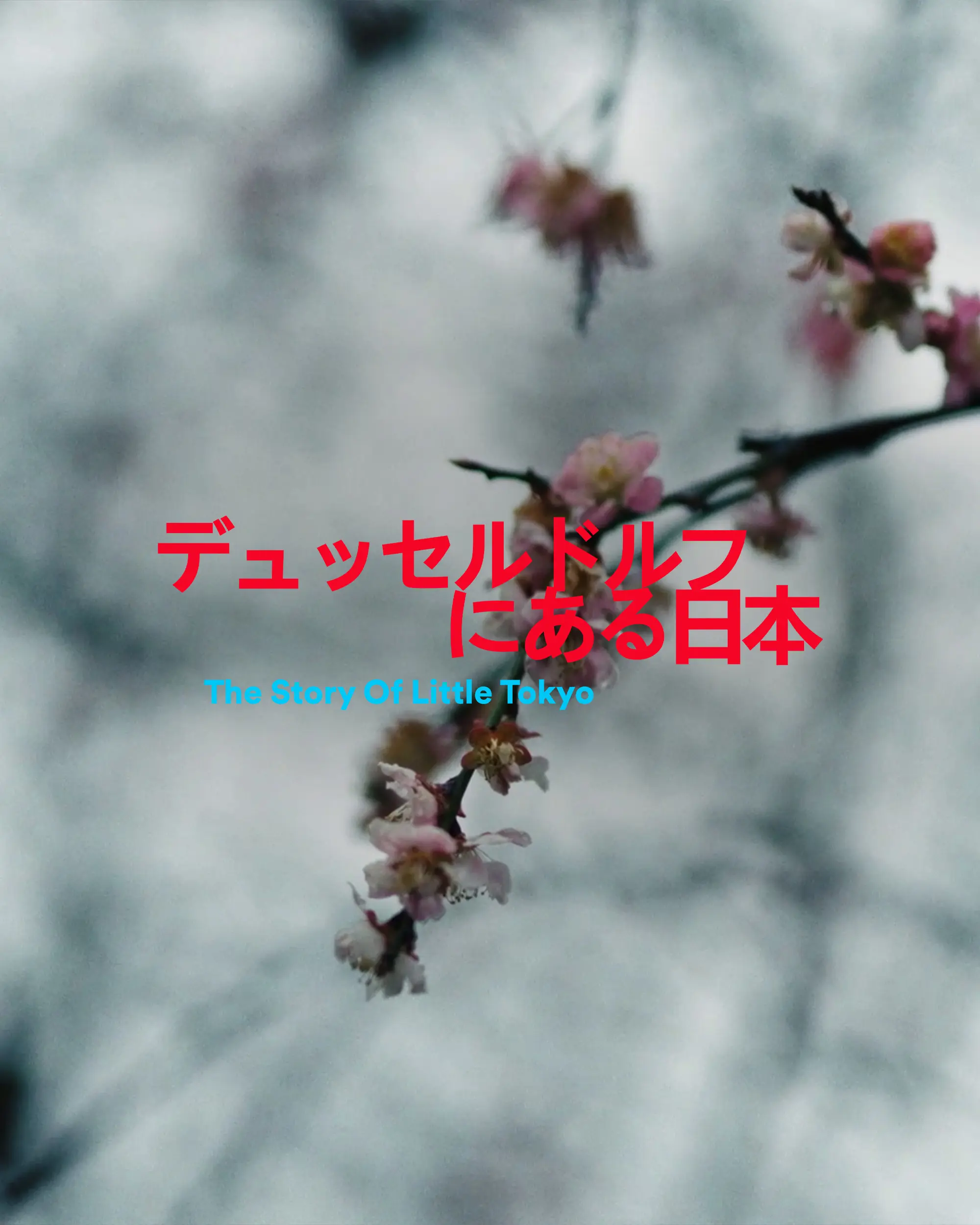 Parasol Island - Integrated Digital Studio