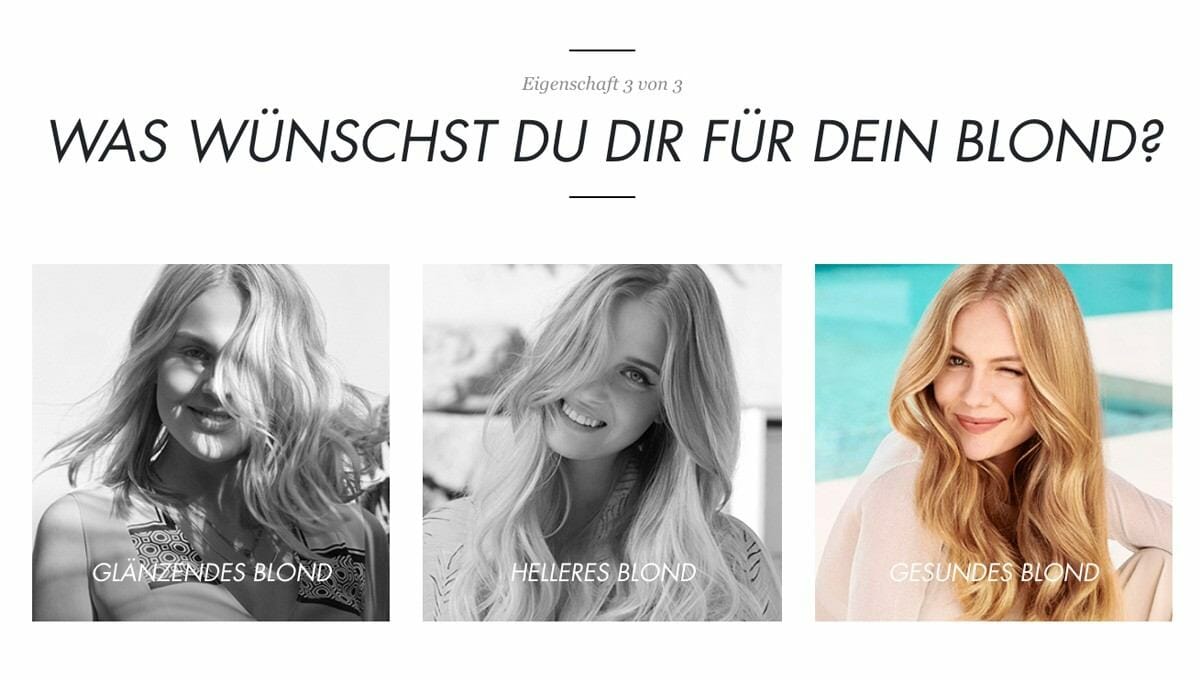 Parasol Island - Integrated Digital Studio