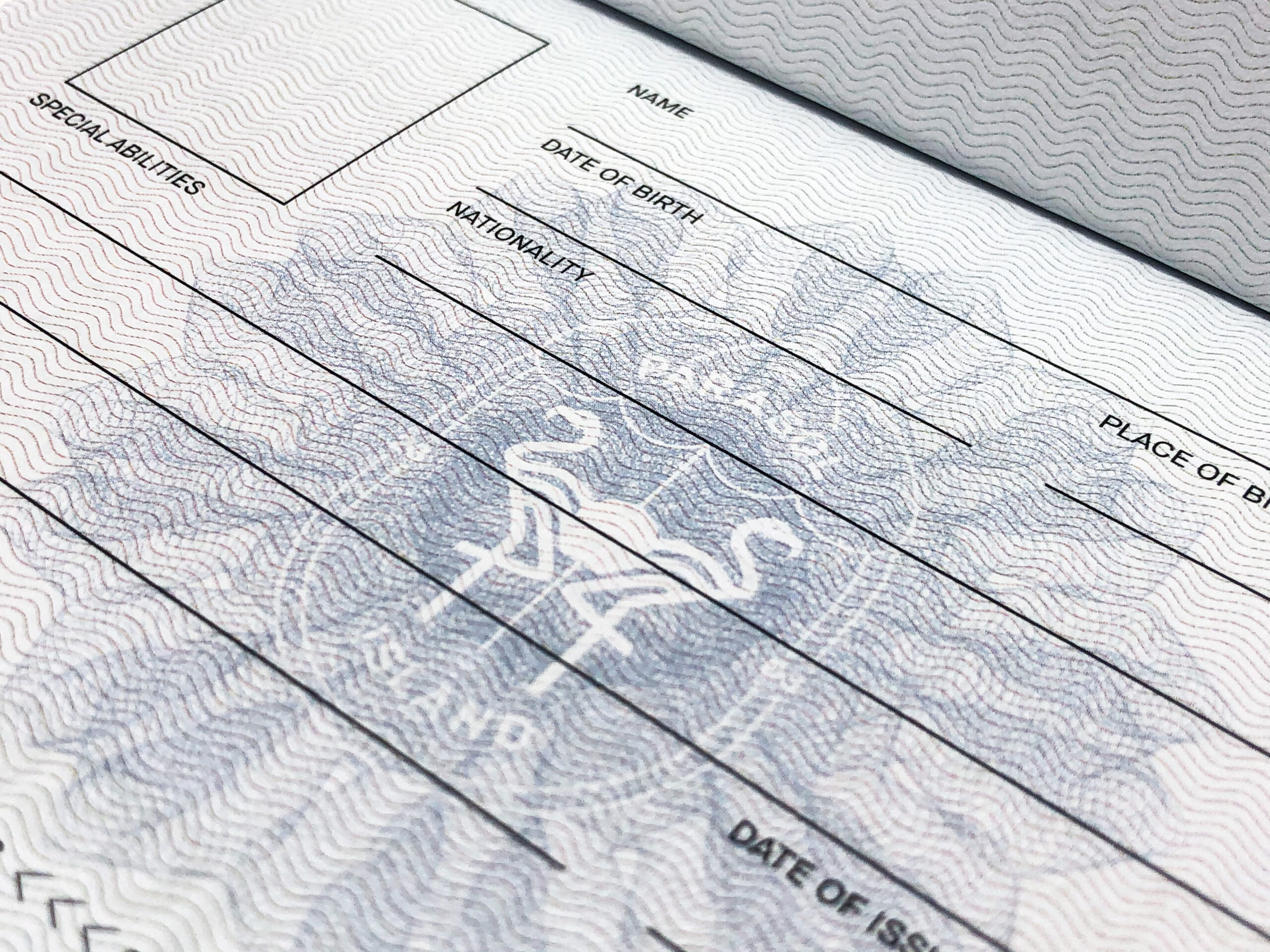 Parasol Island - Integrated Digital Studio