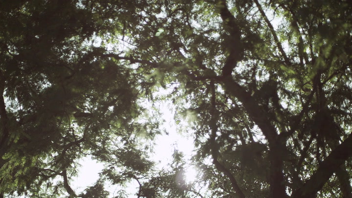 Parasol Island - Integrated Digital Studio