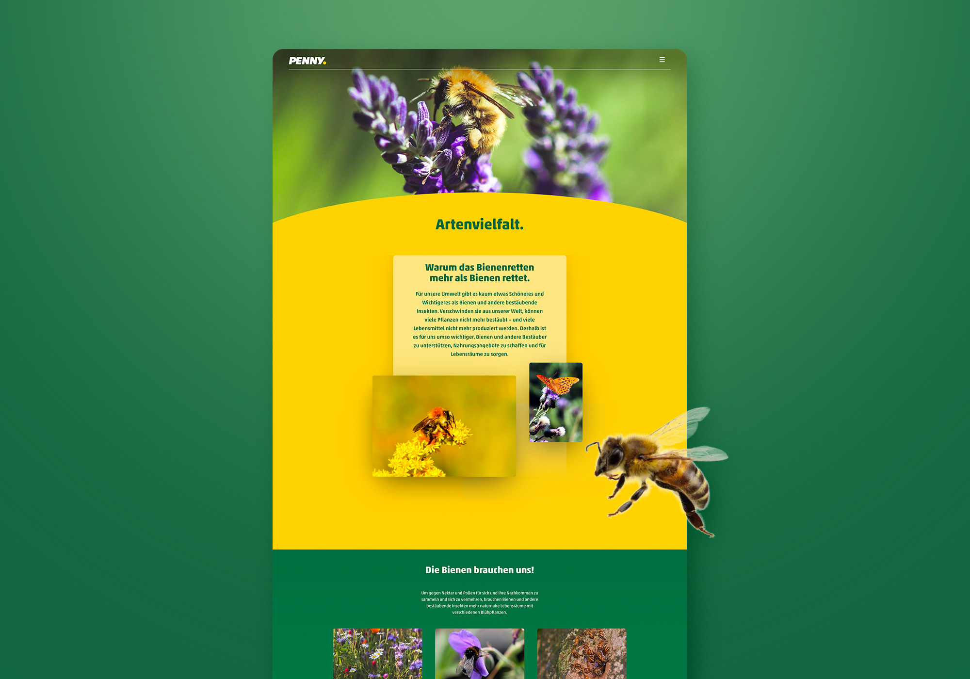 Parasol Island - Integrated Digital Studio