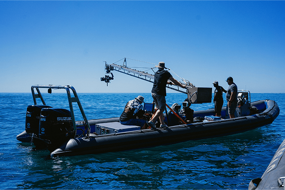 Parasol Island - Integrated Digital Studio