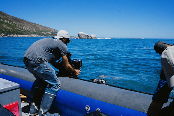 Parasol Island - Integrated Digital Studio