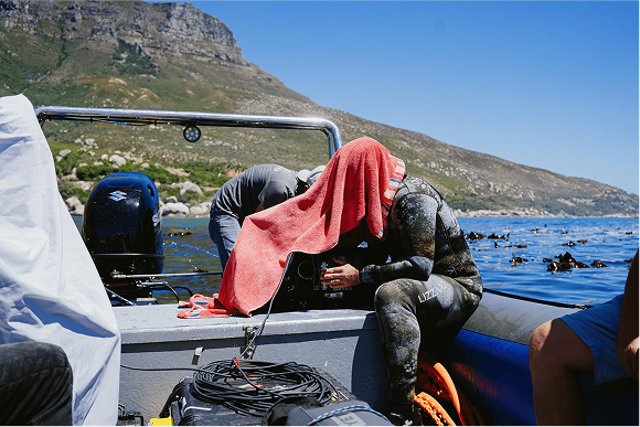 Parasol Island - Integrated Digital Studio