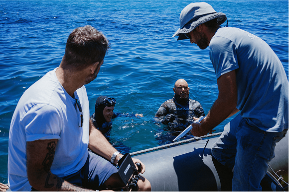 Parasol Island - Integrated Digital Studio