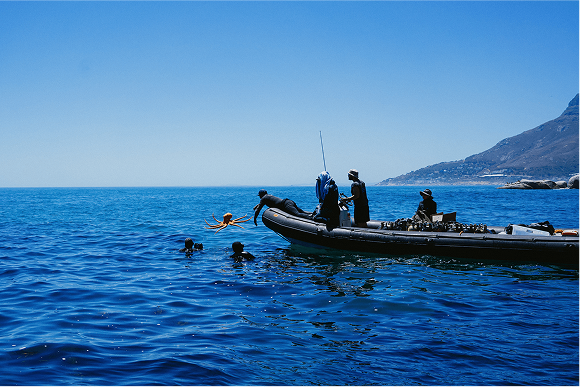 Parasol Island - Integrated Digital Studio