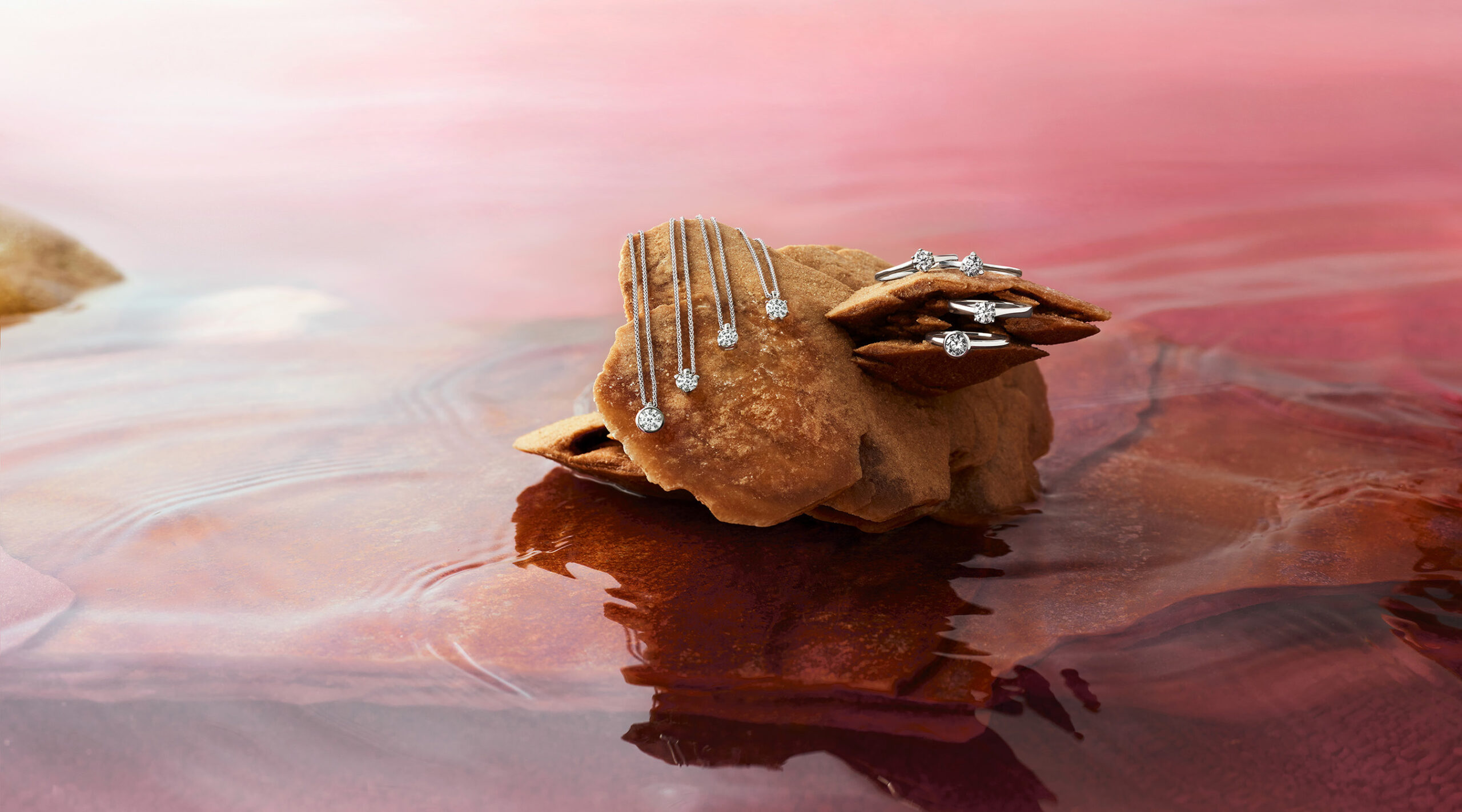 Parasol Island - Integrated Digital Studio