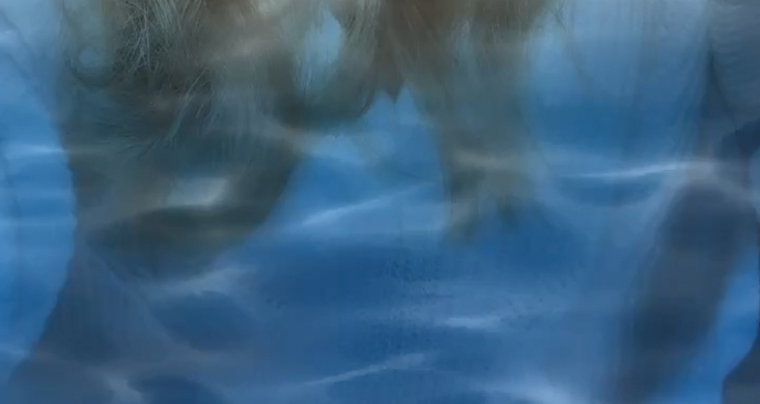 Parasol Island - Integrated Digital Studio