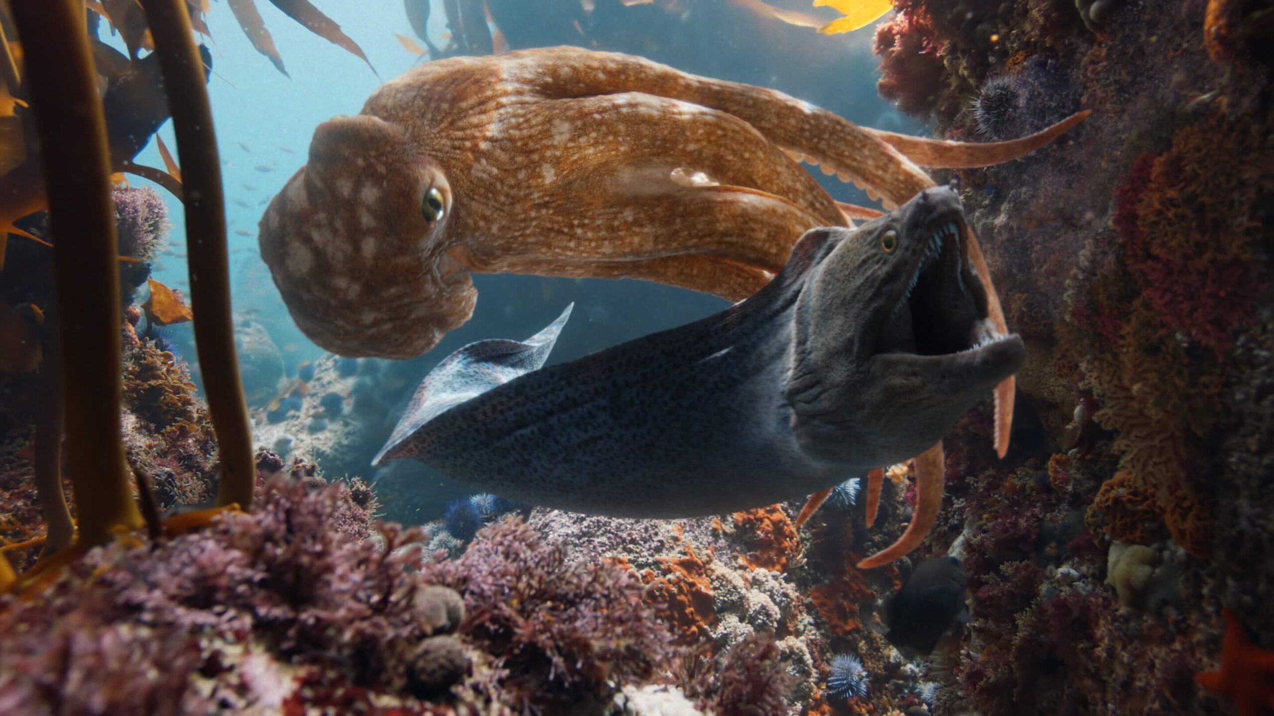 Parasol Island - Integrated Digital Studio