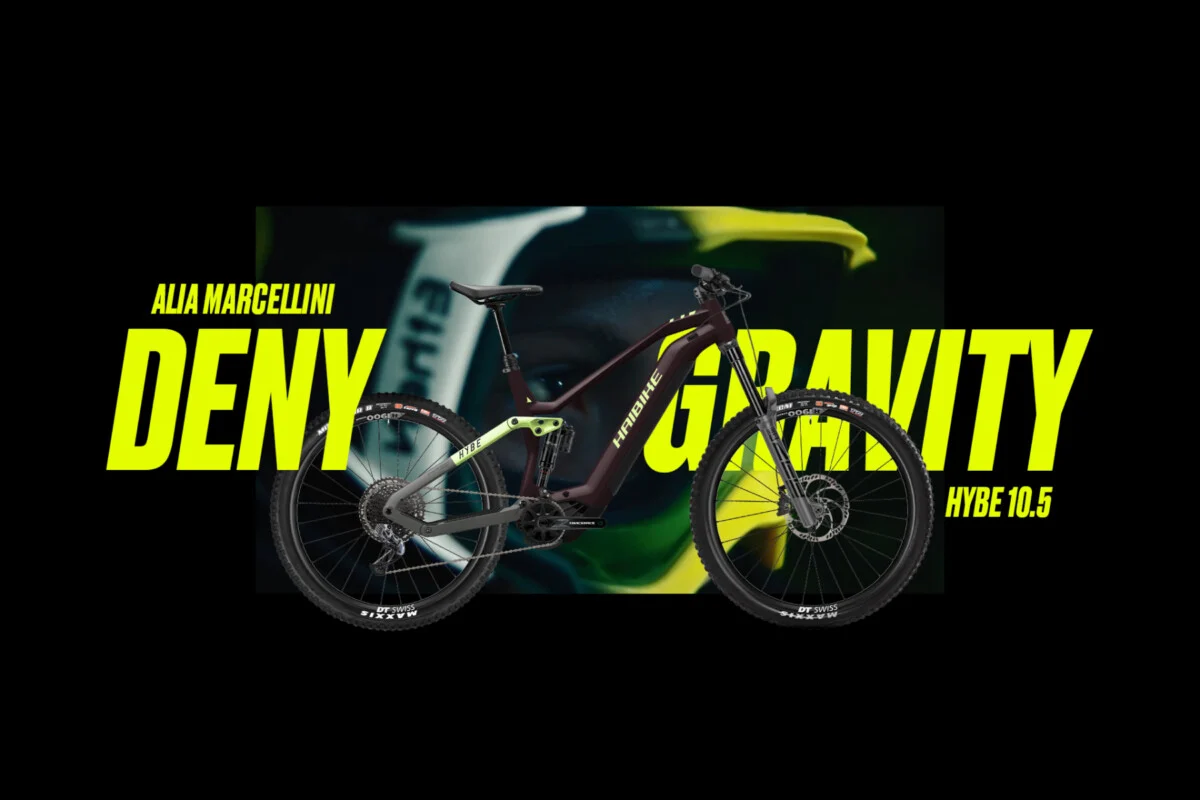 Parasol Island - Integrated Digital Studio