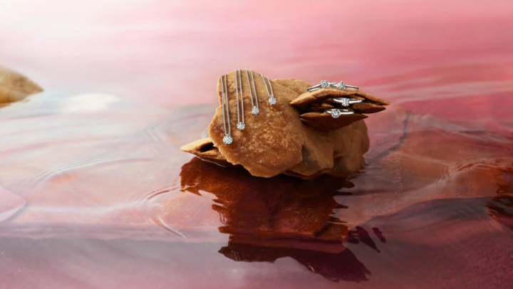 Parasol Island - Integrated Digital Studio