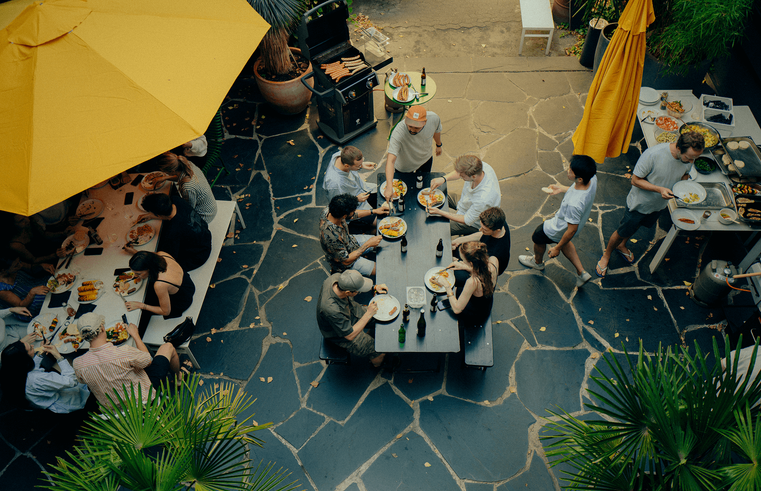 Parasol Island - Integrated Digital Studio